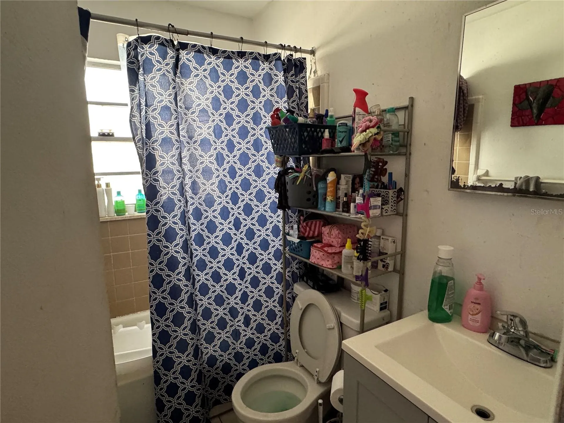 207 E Buchanon Avenue Orlando FL 32809