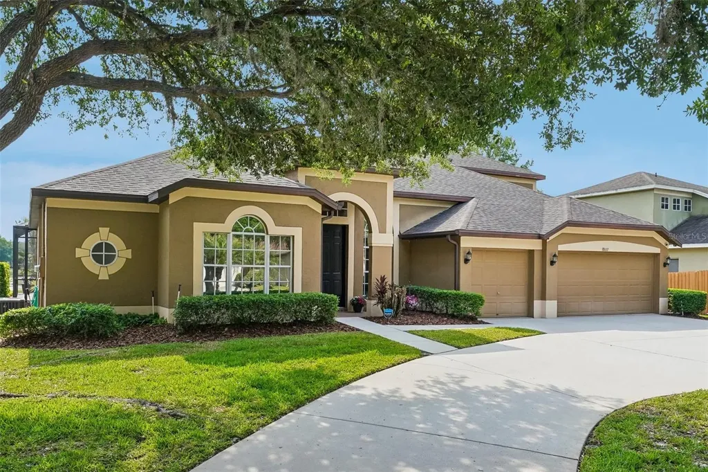 19117 Mandarin Grove Place Tampa FL 33647