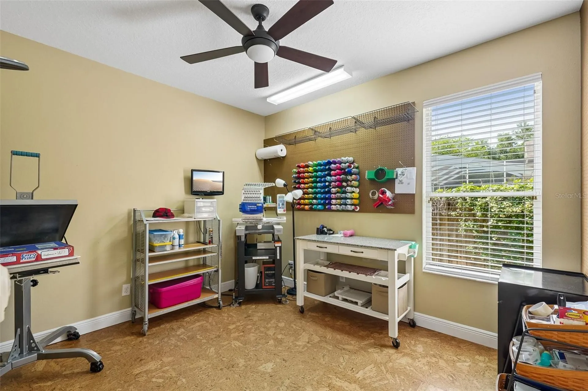 19117 Mandarin Grove Place Tampa FL 33647
