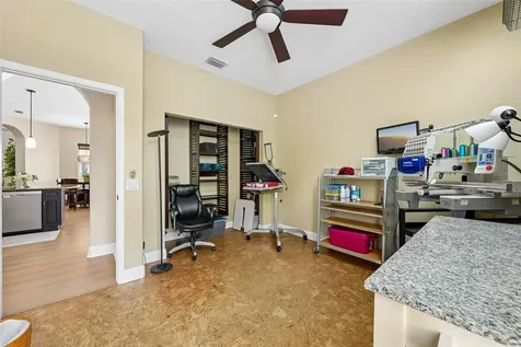 19117 Mandarin Grove Place Tampa FL 33647