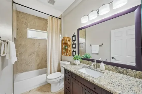 19117 Mandarin Grove Place Tampa FL 33647