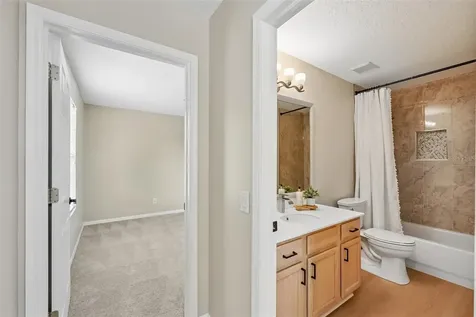 19117 Mandarin Grove Place Tampa FL 33647