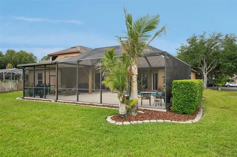 19117 Mandarin Grove Place Tampa FL 33647