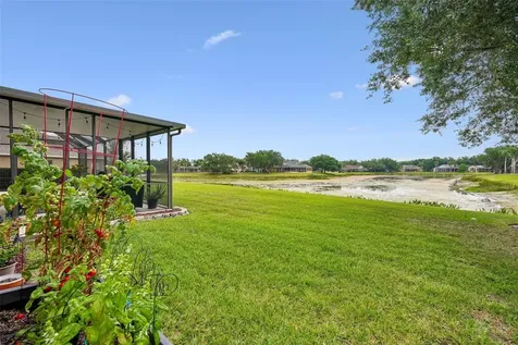 19117 Mandarin Grove Place Tampa FL 33647