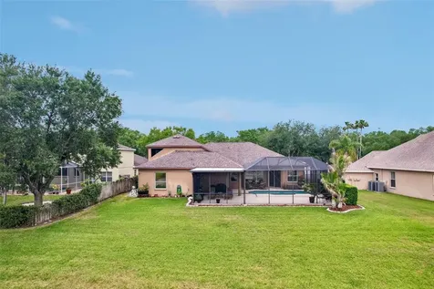 19117 Mandarin Grove Place Tampa FL 33647