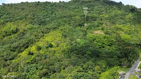 PR-181 Km 11.0 Cayaguaz San Lorenzo PR 00754