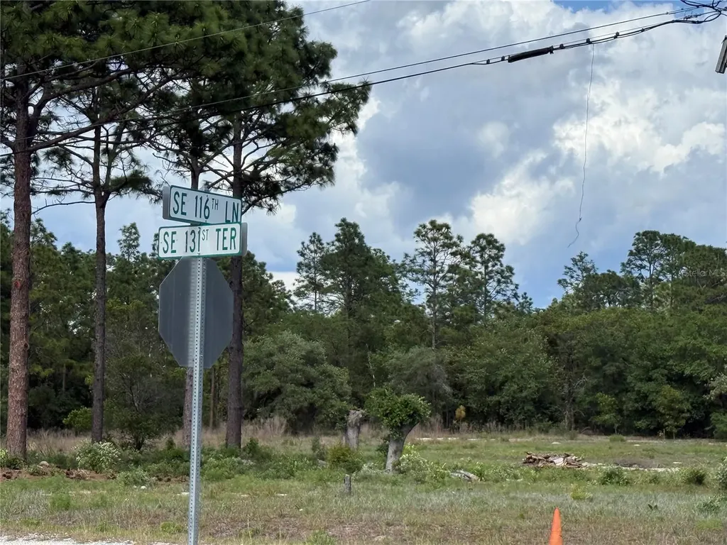 00 SE 116th Lane Dunnellon FL 34431