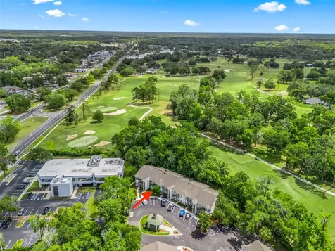 231 NE 28th Avenue Ocala FL 34470
