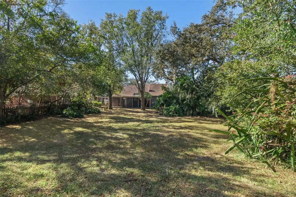 11315 N Ola Avenue Tampa FL 33612