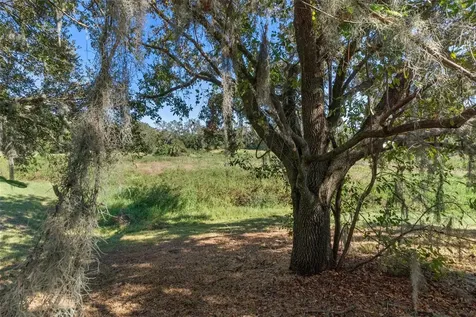 11315 N Ola Avenue Tampa FL 33612