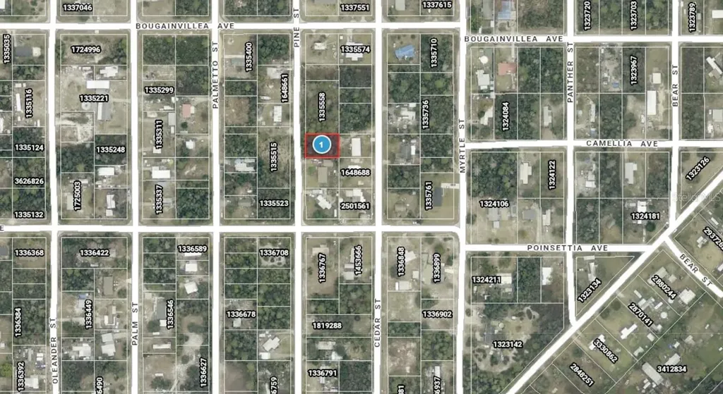 14-17-28-0200-009-01400 Pine Street Paisley FL 32767