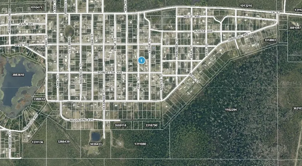 14-17-28-0200-009-01400 Pine Street Paisley FL 32767