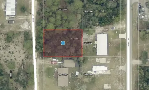 14-17-28-0200-009-01400 Pine Street Paisley FL 32767