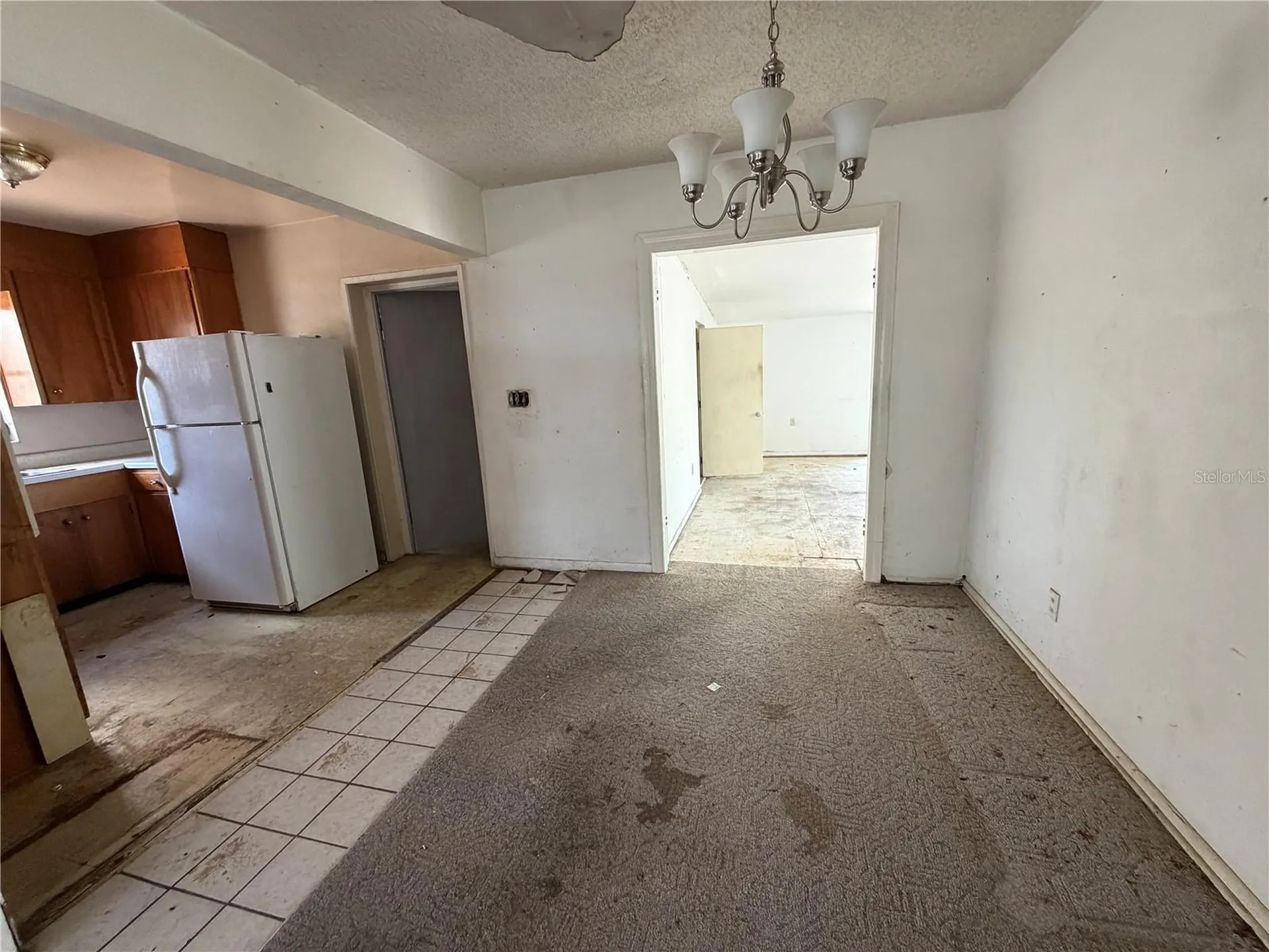 9805 N 54th Street Temple Terrace FL 33617