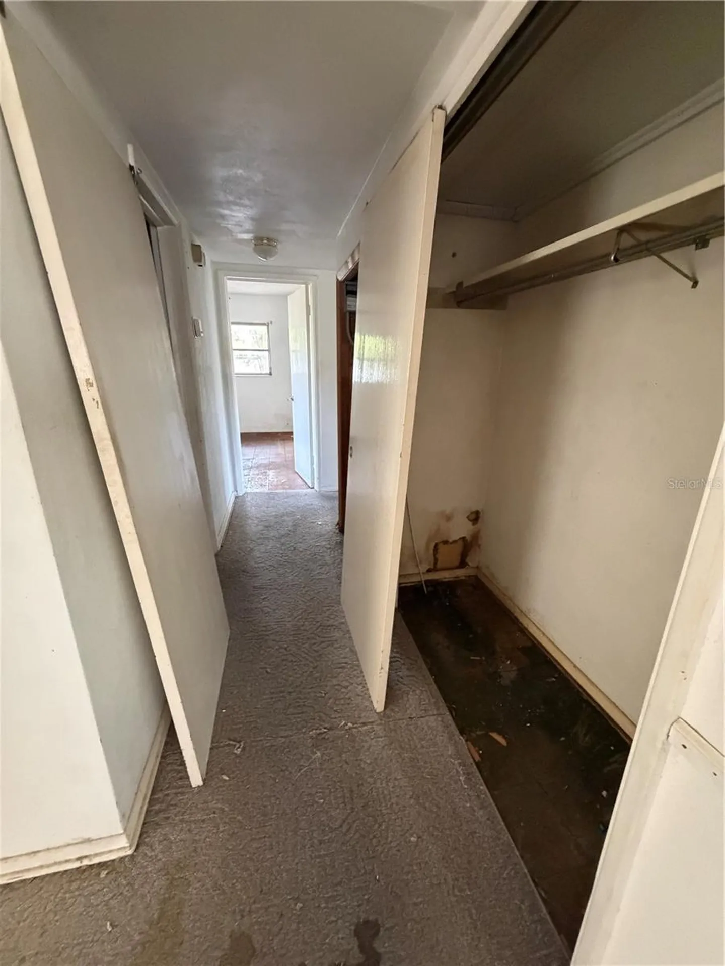 9805 N 54th Street Temple Terrace FL 33617