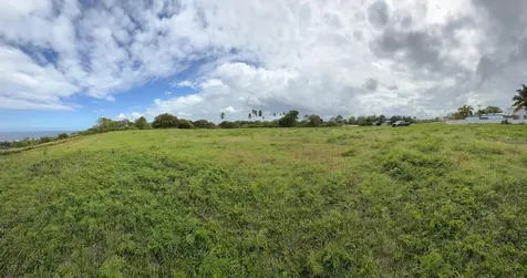 459 Pozo Dulce Isabela PR 00662