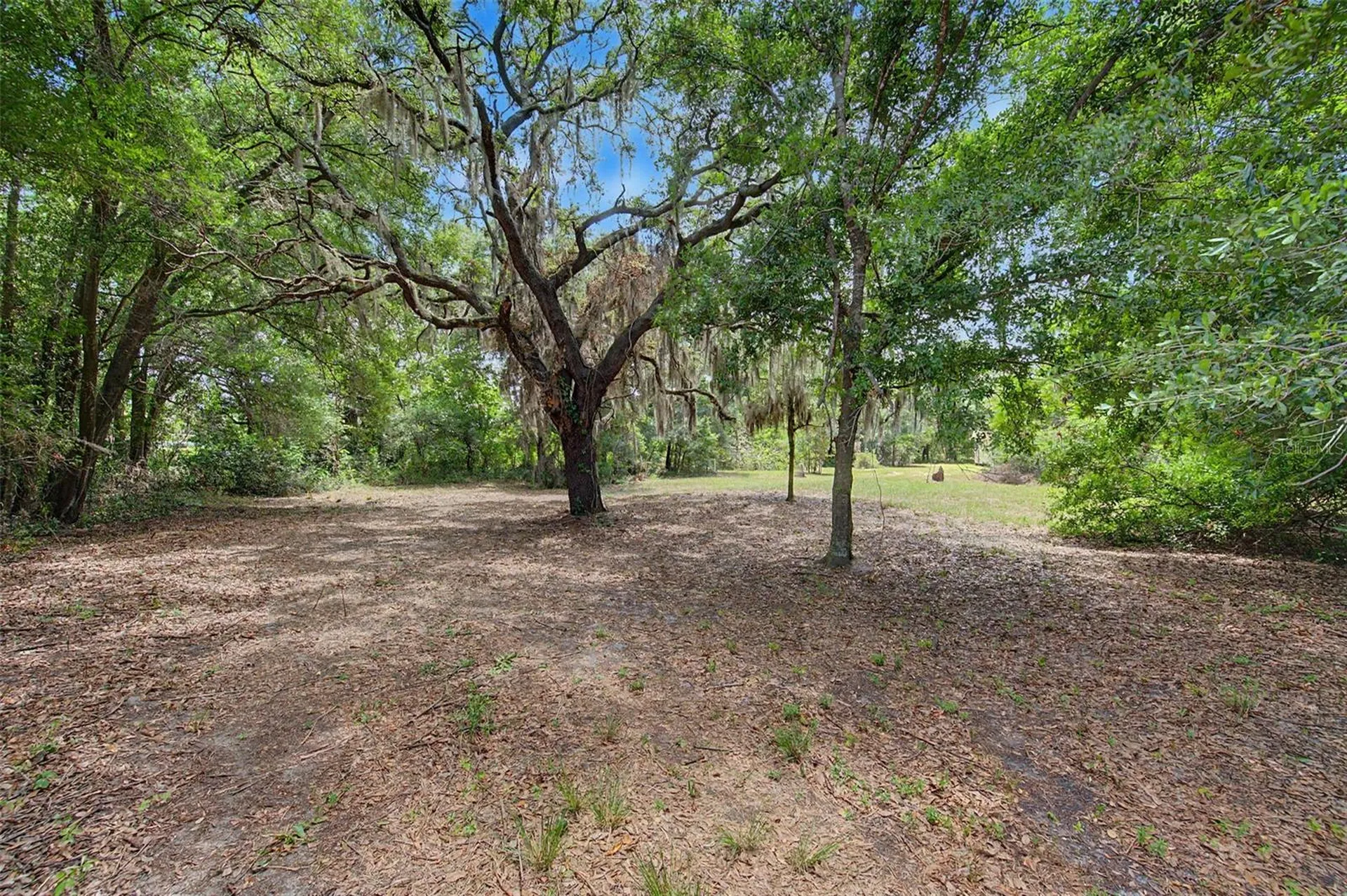 Cutrone Road Winter Haven FL 33880