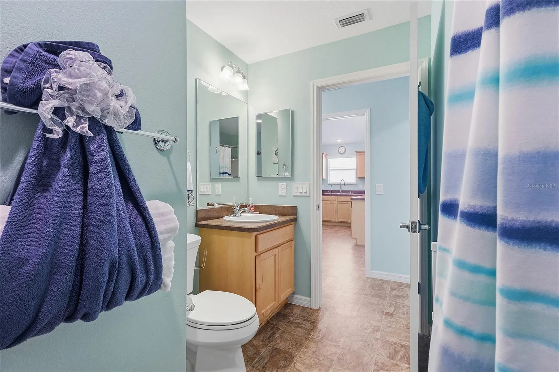 871 Amber Court The Villages FL 32163