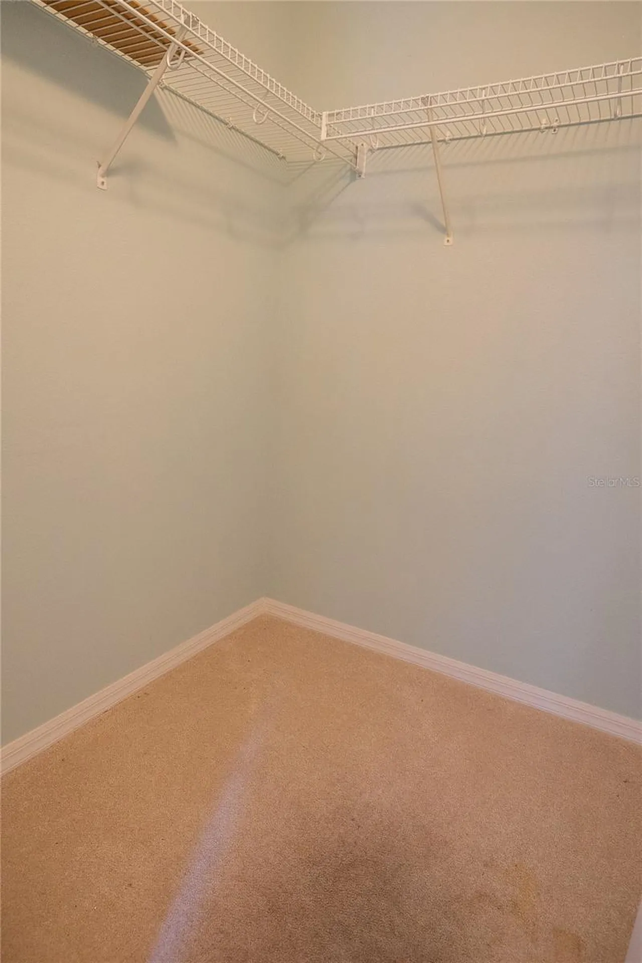 3559 Capland Avenue Clermont FL 34711
