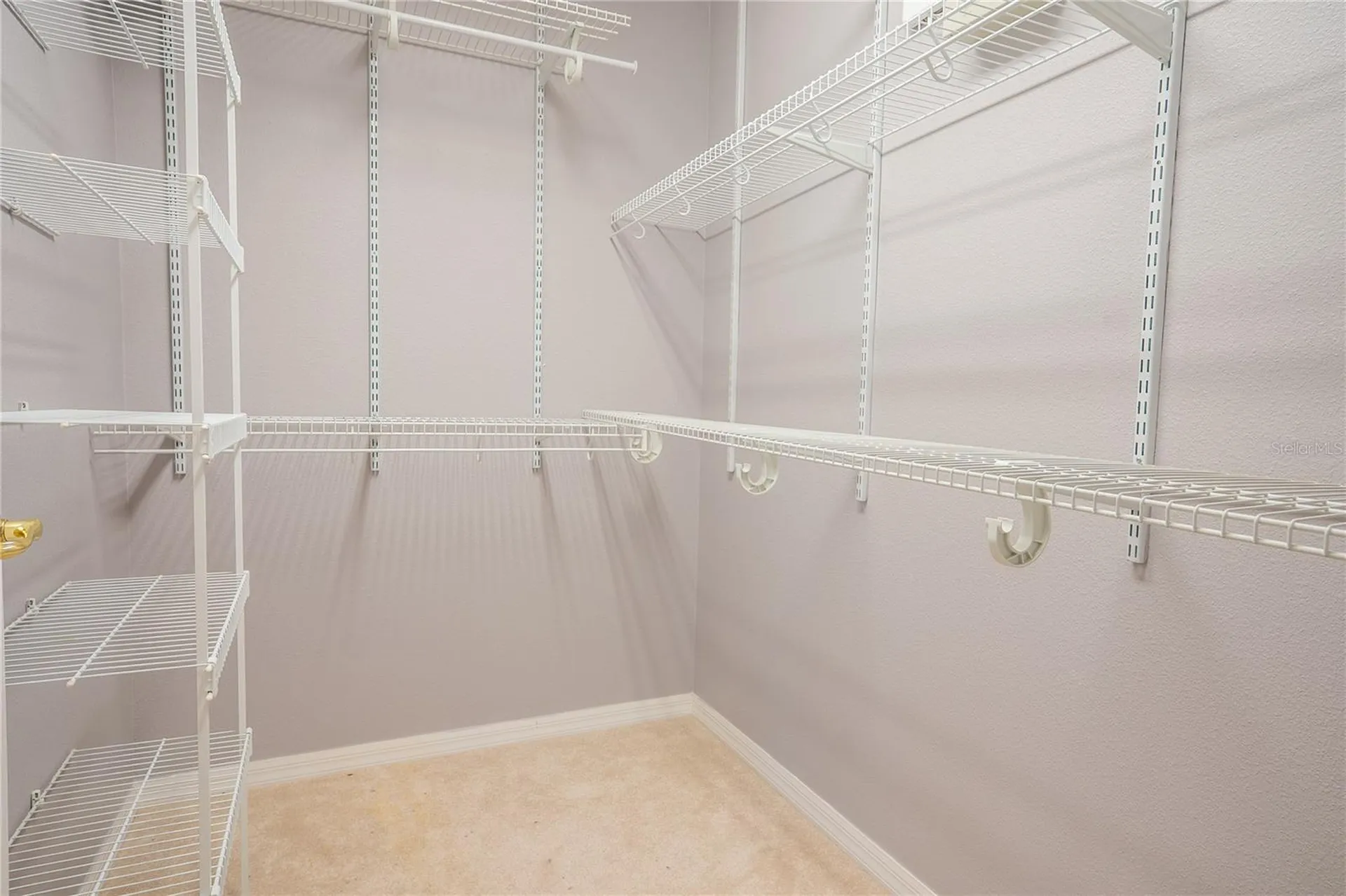 3559 Capland Avenue Clermont FL 34711