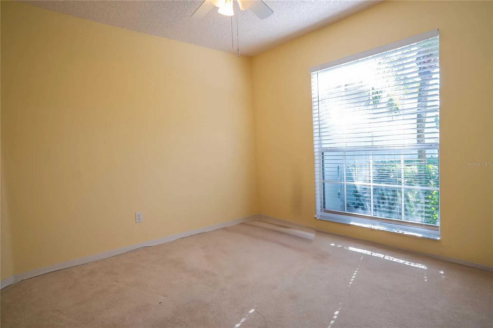 3559 Capland Avenue Clermont FL 34711