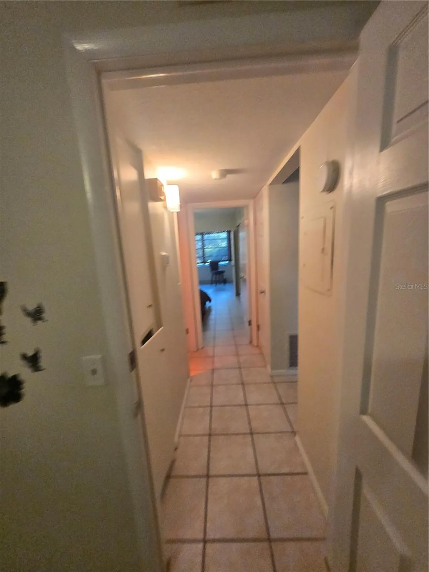 2463 Brazilia Drive Clearwater FL 33763