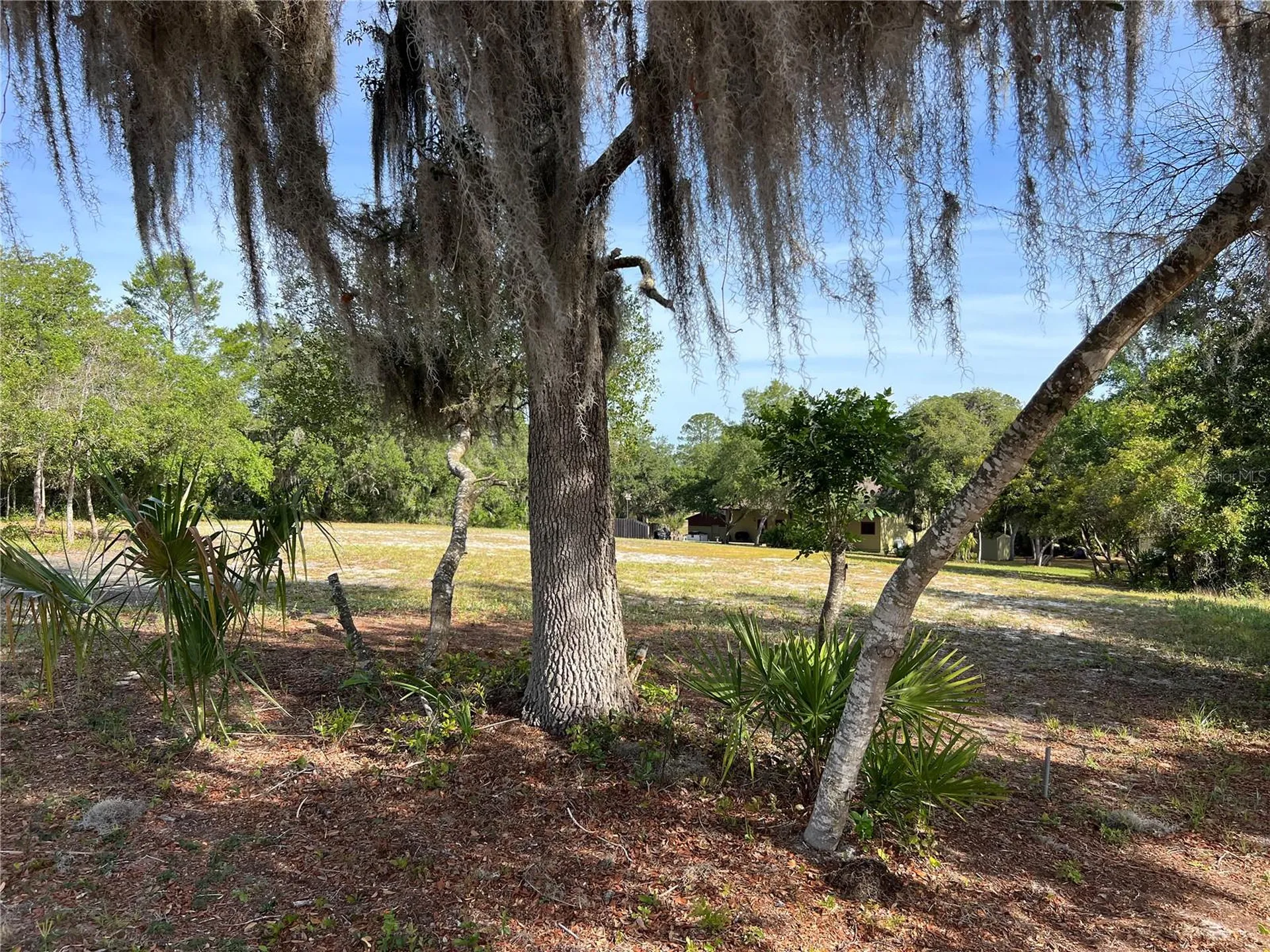 Ranchero Road Deland FL 32720