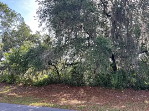 Ranchero Road Deland FL 32720
