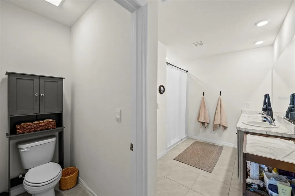 33607 Hamilton Hill Lane Wesley Chapel FL 33545