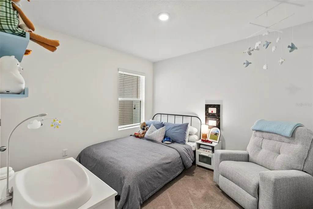 33607 Hamilton Hill Lane Wesley Chapel FL 33545
