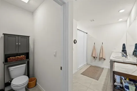 33607 Hamilton Hill Lane Wesley Chapel FL 33545