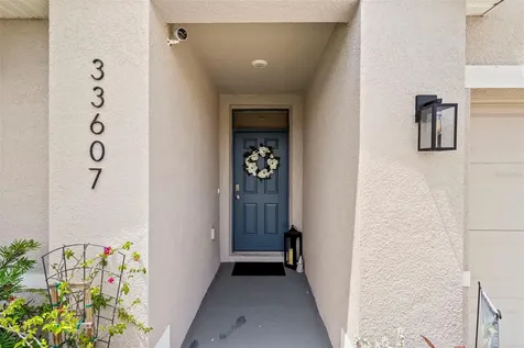 33607 Hamilton Hill Lane Wesley Chapel FL 33545