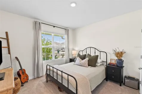 33607 Hamilton Hill Lane Wesley Chapel FL 33545