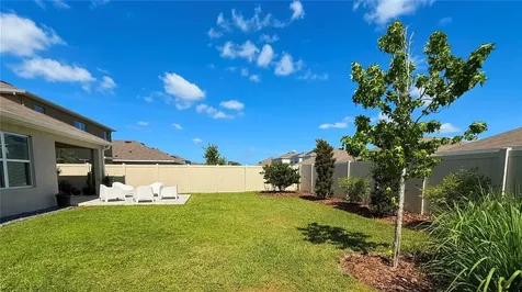 33607 Hamilton Hill Lane Wesley Chapel FL 33545