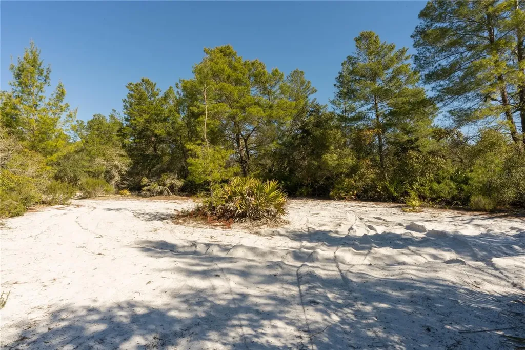North Road Pierson FL 32180