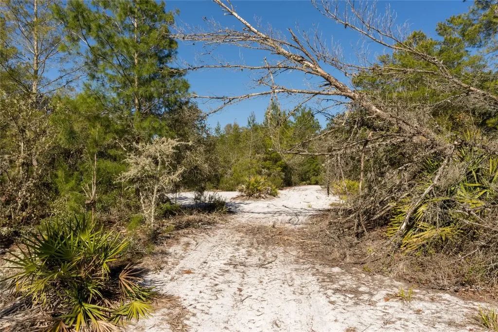North Road Pierson FL 32180
