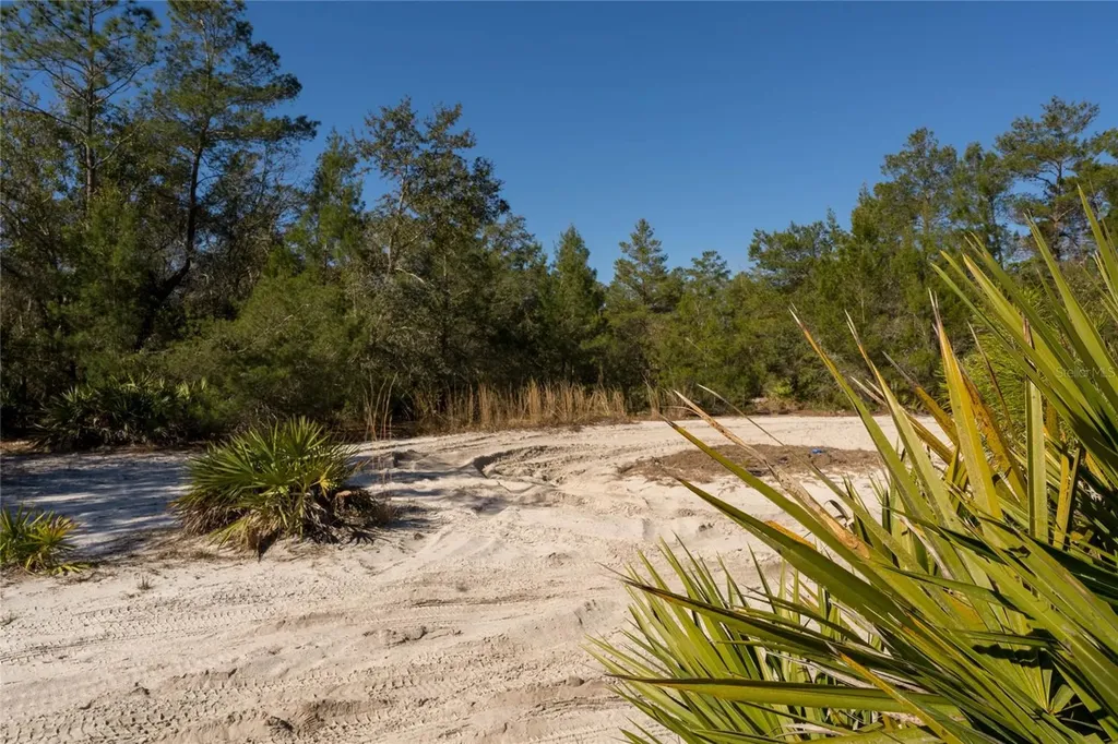 North Road Pierson FL 32180