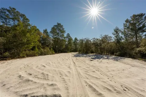 North Road Pierson FL 32180