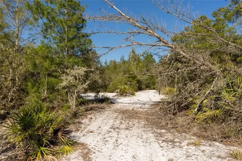 North Road Pierson FL 32180