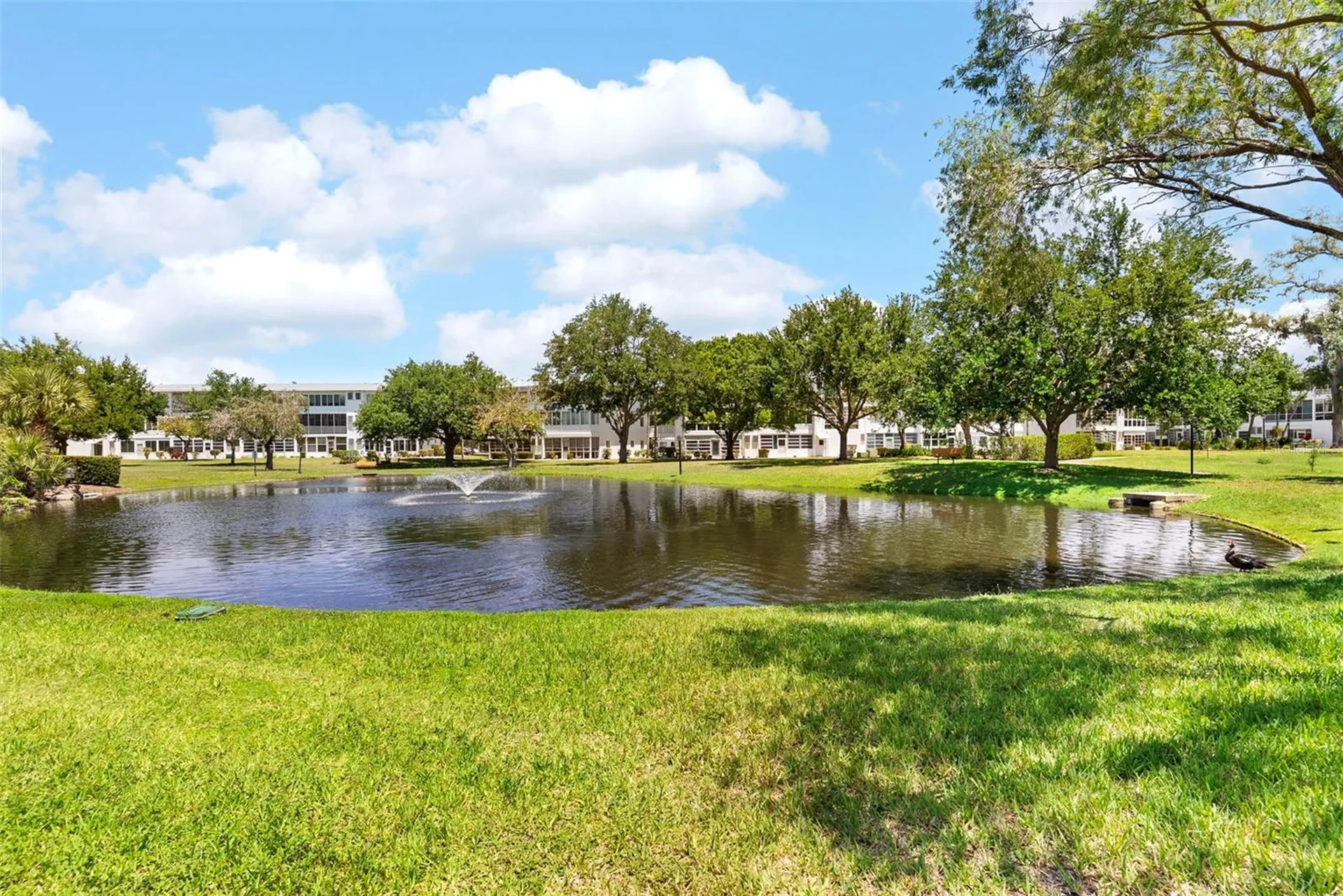 11201 80th Avenue Seminole FL 33772
