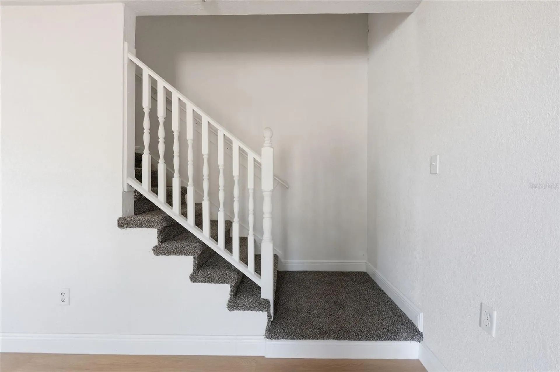 5065 Plumosa Street Spring Hill FL 34607