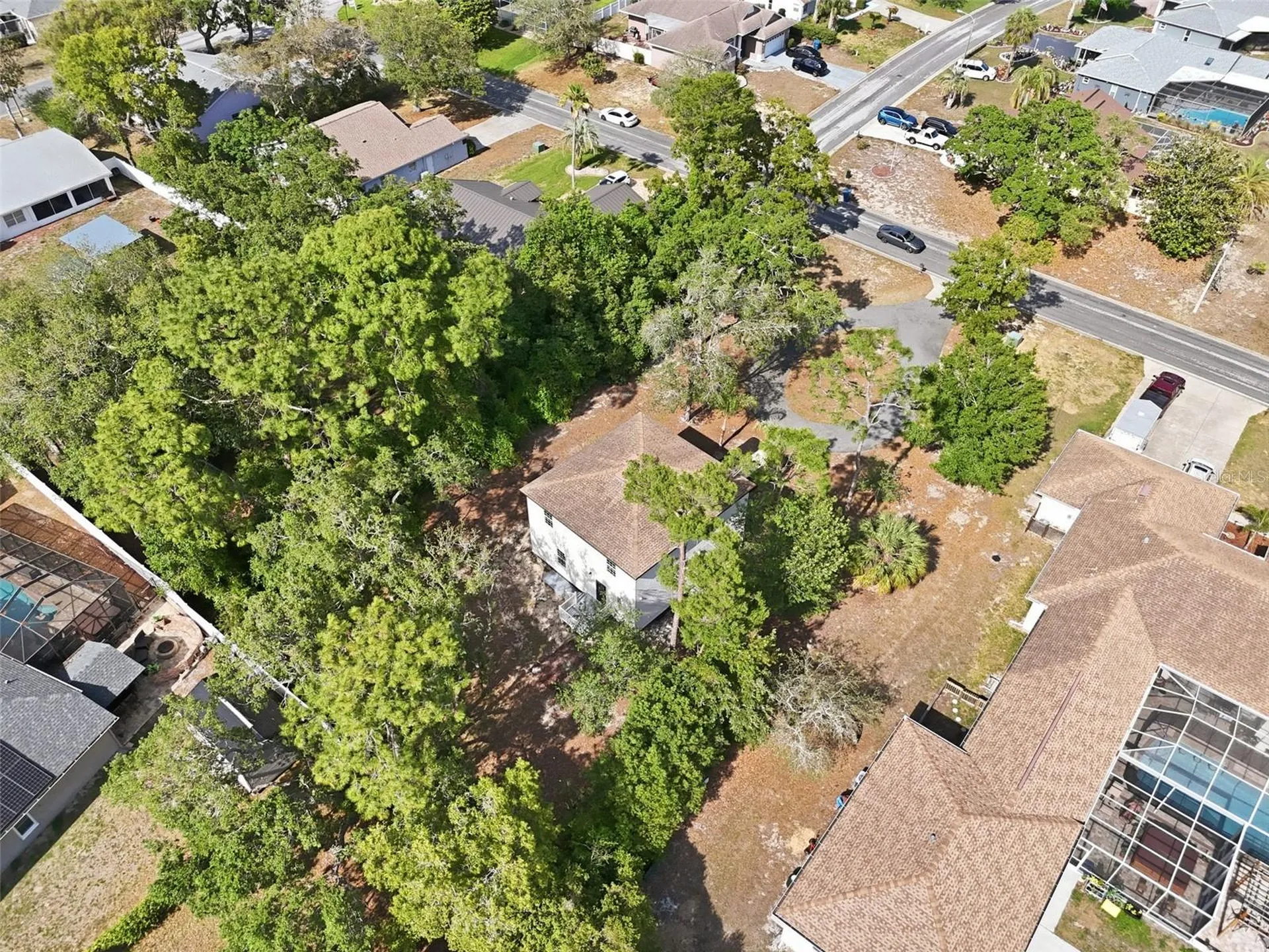 5065 Plumosa Street Spring Hill FL 34607