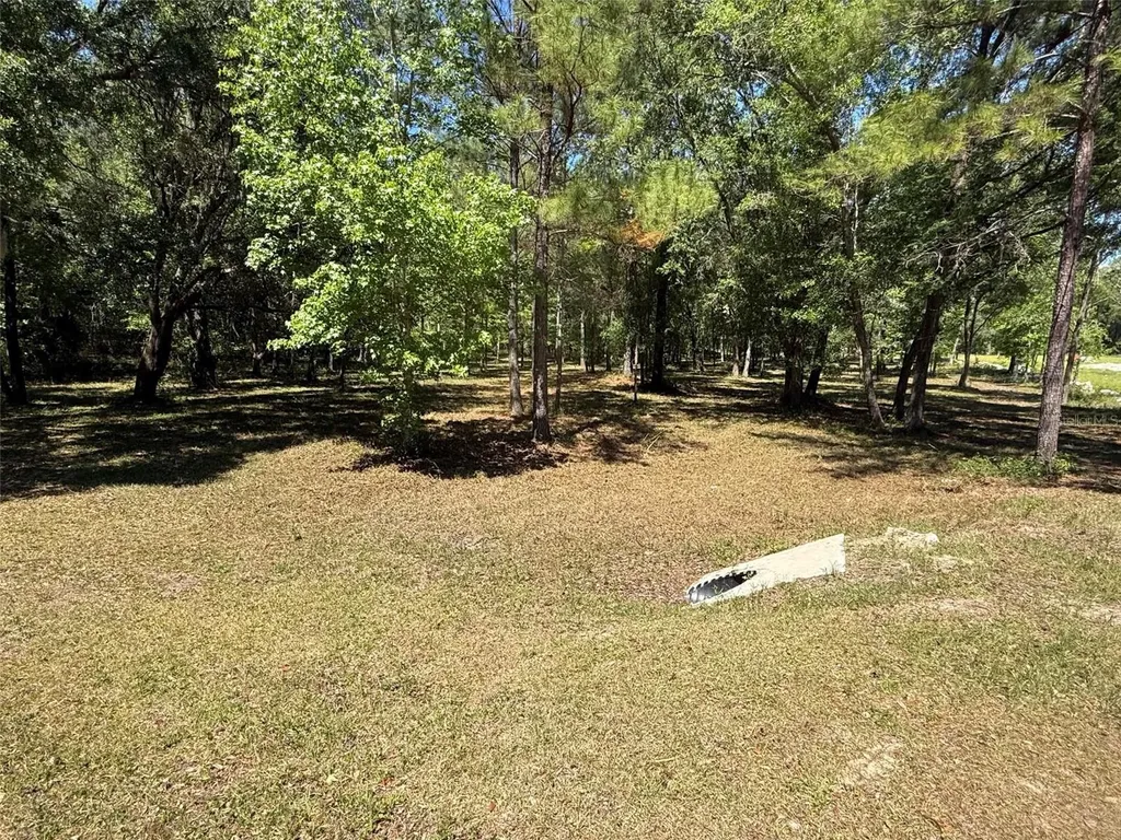 0 NW 145 Avenue Williston FL 32696
