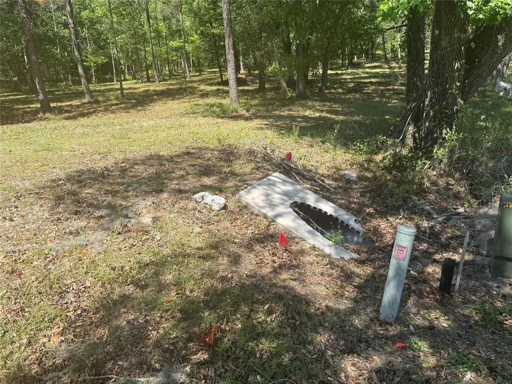 0 NW 145 Avenue Williston FL 32696