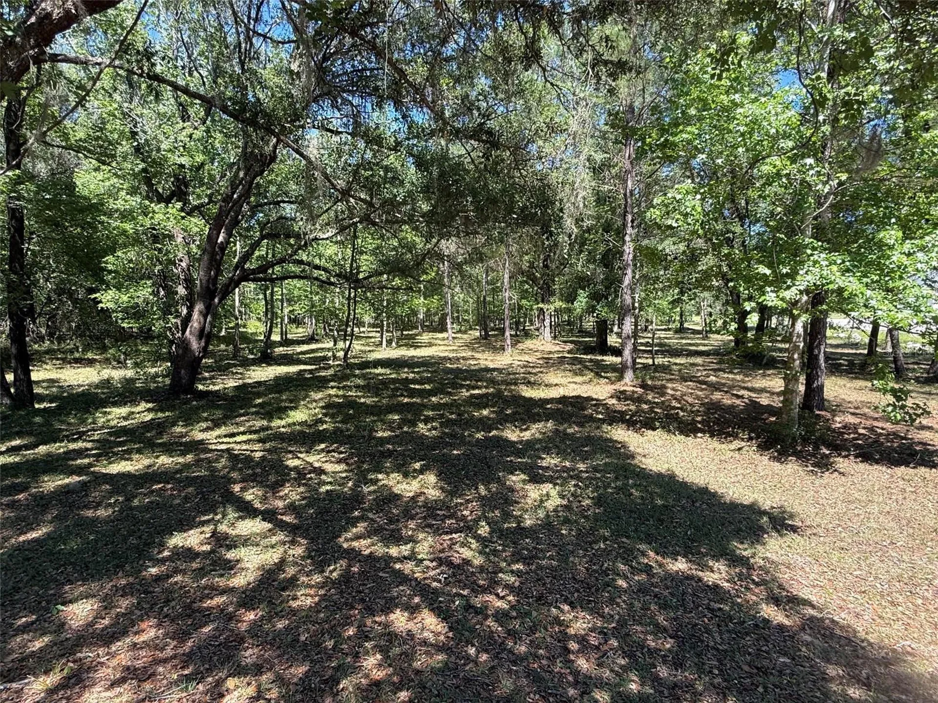 0 NW 145 Avenue Williston FL 32696