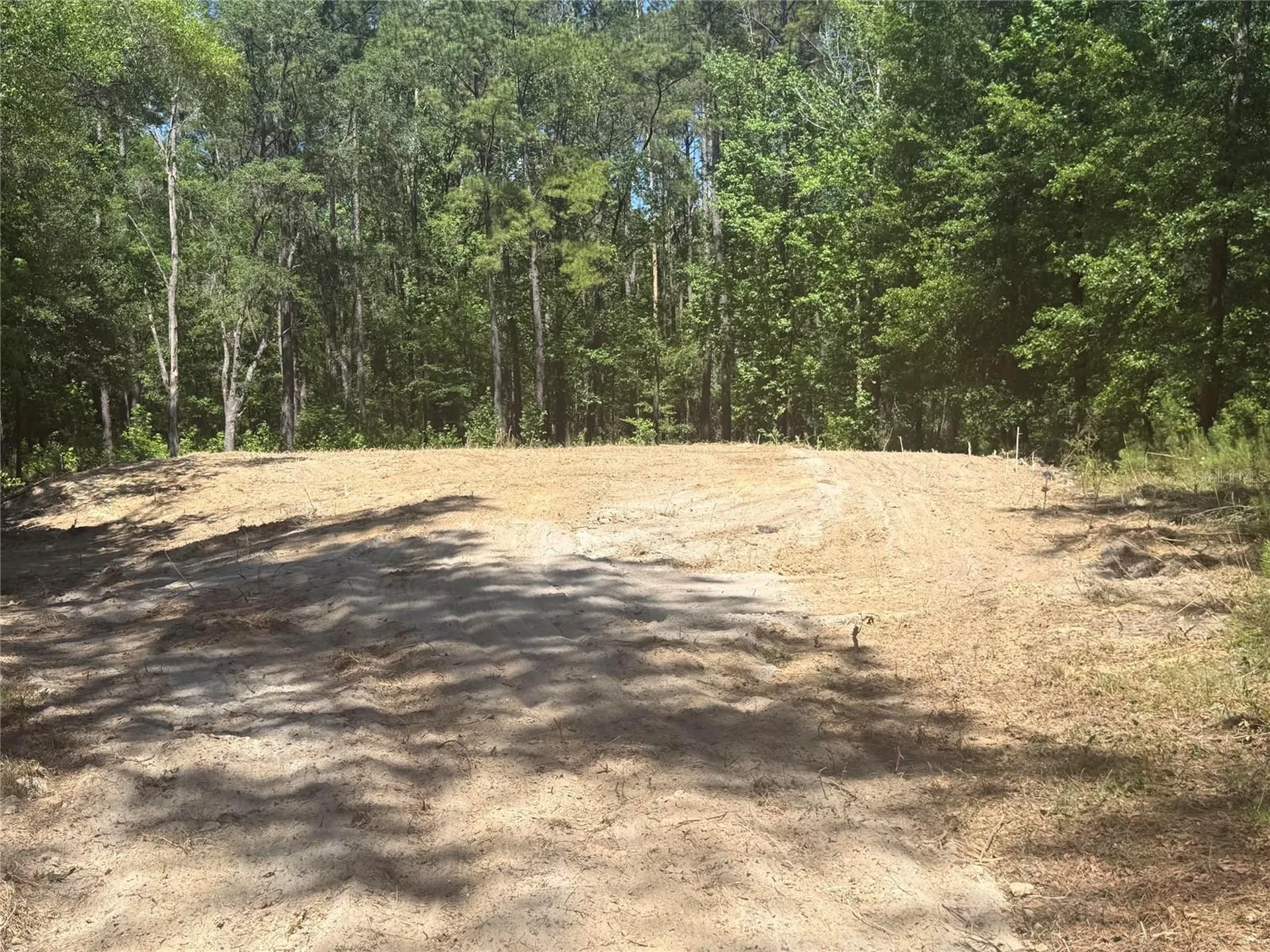 0 NW 145 Avenue Williston FL 32696