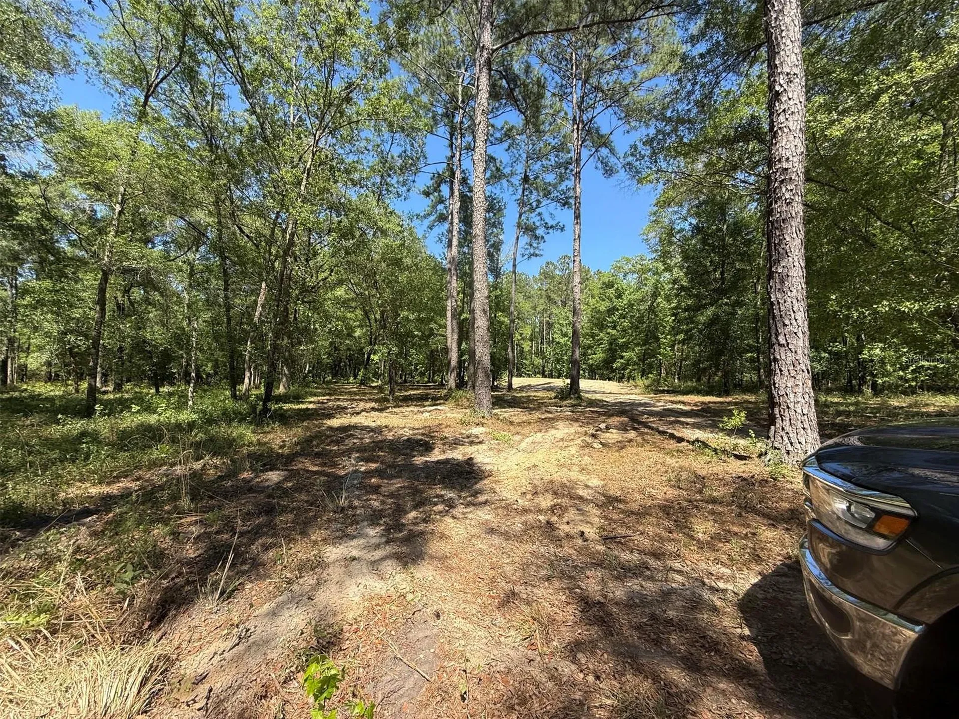 0 NW 145 Avenue Williston FL 32696
