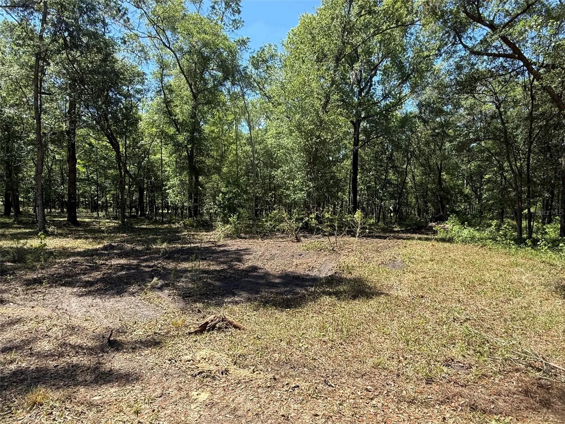 0 NW 145 Avenue Williston FL 32696