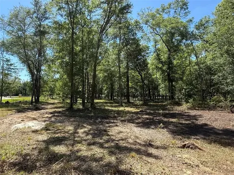 0 NW 145 Avenue Williston FL 32696