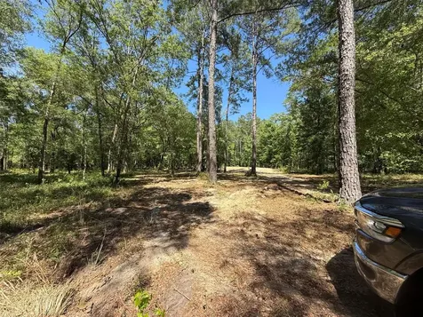 0 NW 145 Avenue Williston FL 32696